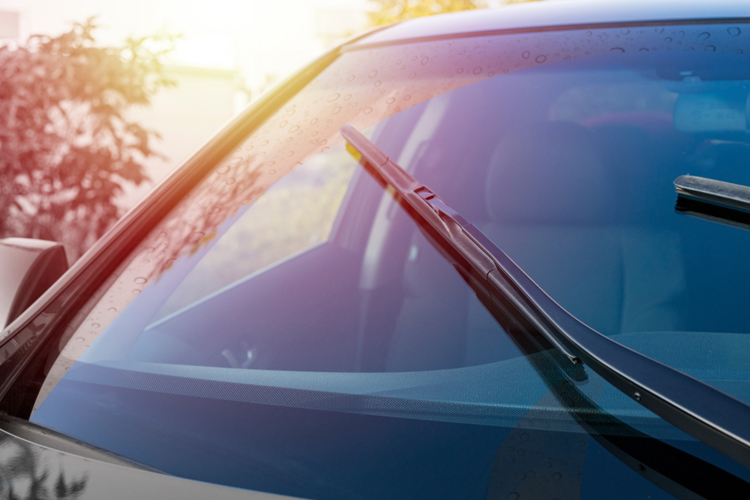 car glass 